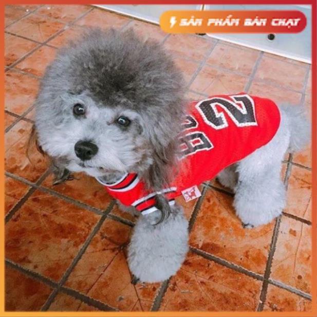 Áo thun lưới logo Bulls 23💪🏻 [SG Giao Hỏa Tốc]