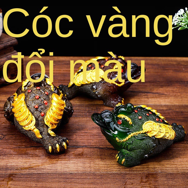 cửa hàng đồ trang trí thú cưng đổi màu Cóc vàng may mắn Pixiu trà có thể nâng cao sáng tạo phun nước phụ kiện