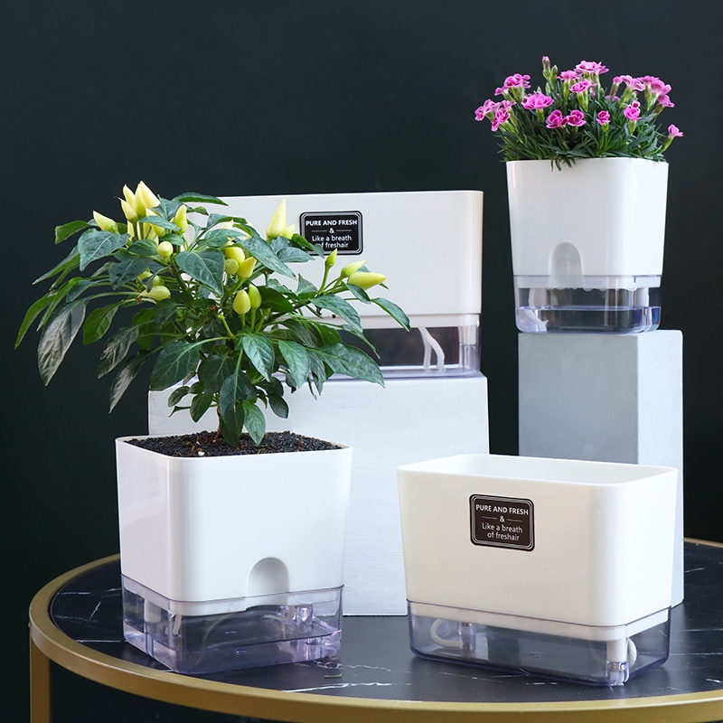 Chậu cây để bàn Oliz G2 - Chậu trồng cây mini có chức năng tự tưới nước cho cây