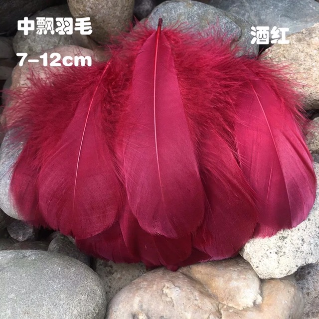 Lông vũ đủ màu kt 7-12cm