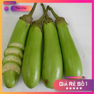 Hạt giống Cà xanh mỡ (0.5g)