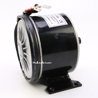 Motor 24v 250W