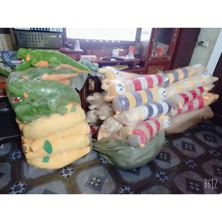 Gấu bông cá sấu