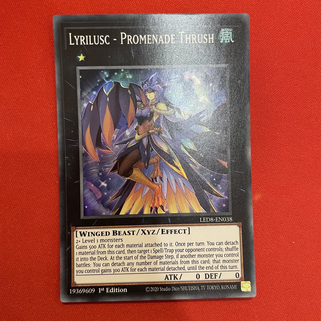 Lyrilusc Promenade Thrush