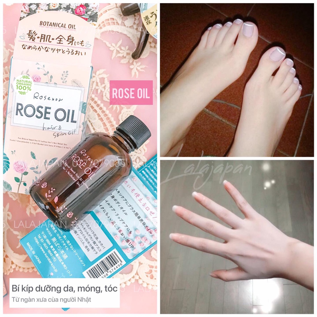 Botanical Rose Oil Nhật Bản dầu dưỡng cho tóc và body