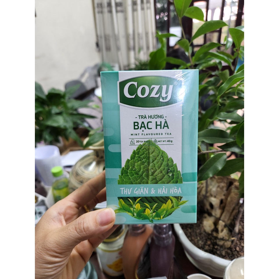 Trà cozy bạc hà túi lọc , 20 tép/ hộp - BAO BÌ MỚI