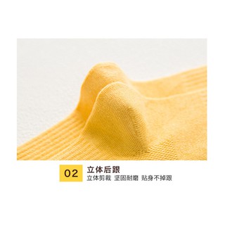 TẤT TRƠN CAO CỔ UZZLANG - CÓ SẴN