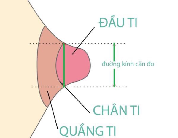 Trợ ti Pigeon size LL