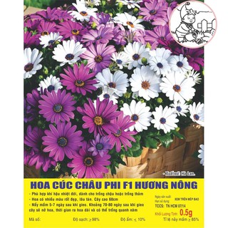 Hạt HOA CÚC Châu phi F1 - Gói 0,5 gram