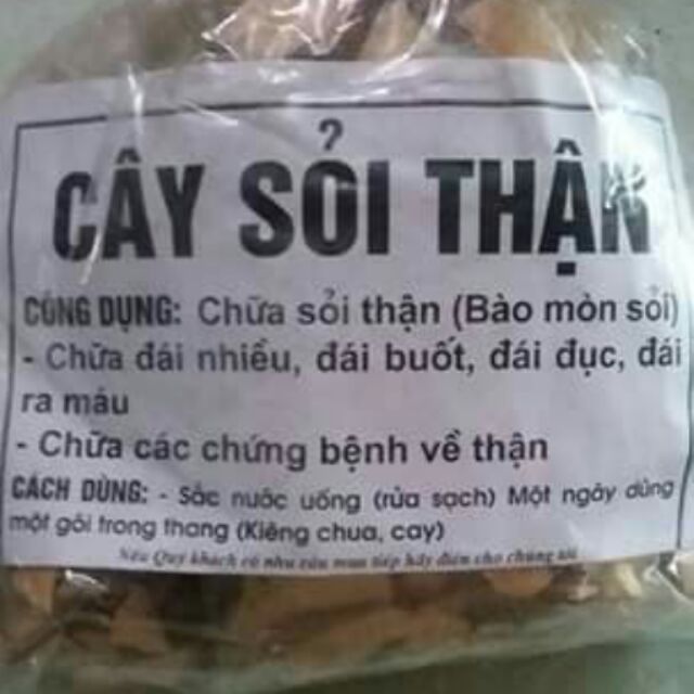 Cây sỏi thận