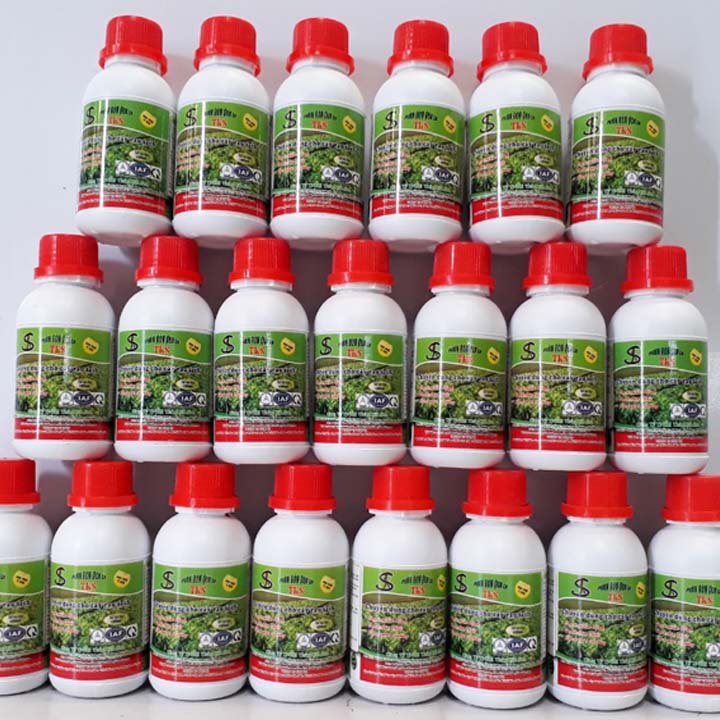 Phân Bón Lá: Dùng Cho Rau Sạch - Xanh Lá, Nở Ngọn, Mập Thân, Nuôi Trái To - Chai 100ml