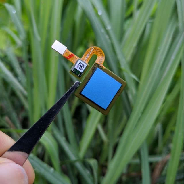 Vân tay Redmi 5 plus