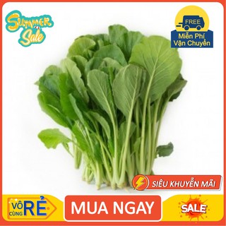 Gói 100g hạt giống cải ngọt cao sản - Nanuseeds [hàng chất lượng]