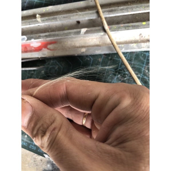 Chỉ gia cố làm phao cỏ - tơ siêu mảnh dùng làm phao thủ công