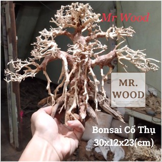 Lũa Bonsai Cổ Thụ Cho Hồ Cá Thuỷ Sinh- Cao 23 dài 30- Xưởng Lũa Mr Wood