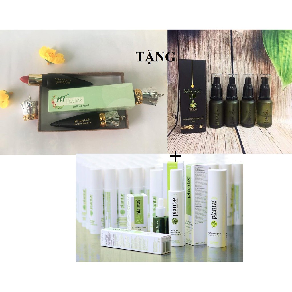 Mua 2 son môi tự nhiên NTLIPSTICK TẶNG 1 Sachi oil 50ml cùng 1 Sample Kit mỹ phẩm hữa cơ Plantae