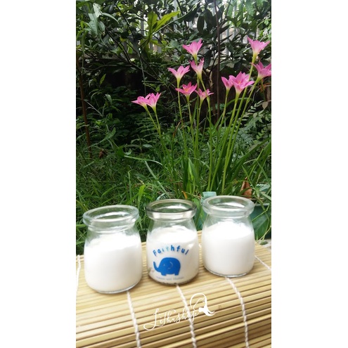 Cốc lọc sữa chua Hy Lạp bằng nấm kefir (có nắp)