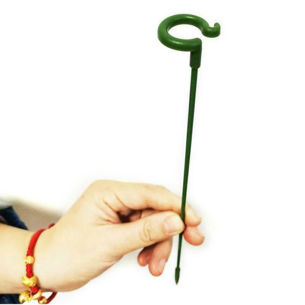 Set 10 Giá Đỡ Hỗ Trợ Trồng Hoa Lan / Bướm Kích Thước 17 / 27 / 37cm