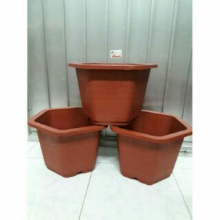 Sét 15 chậu lục giác rộng 30cm cao 20cm
