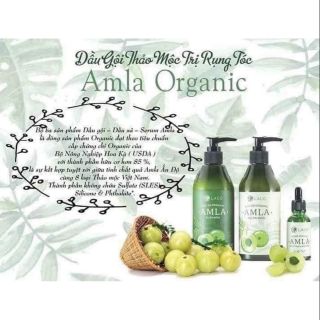 Dầu gội Amla