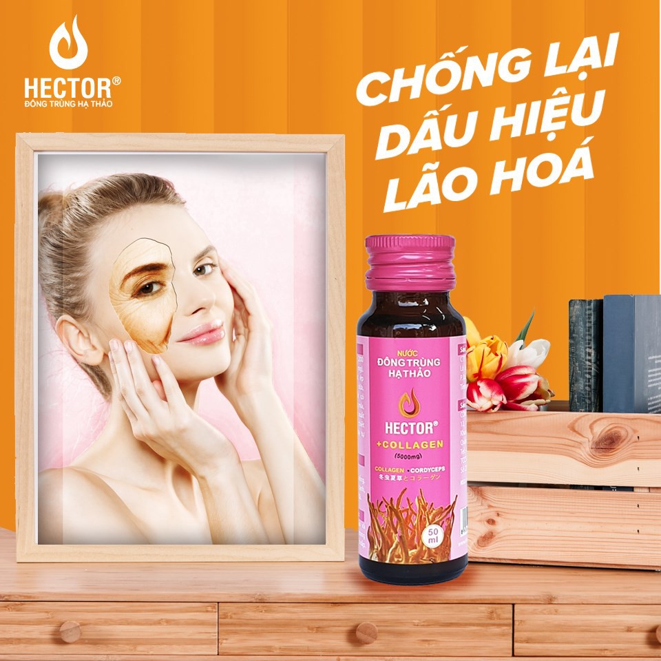 Hector Collagen Nước Đông Trùng Hạ Thảo, trắng da, tăng cường sức khỏe, tăng cường sinh lý