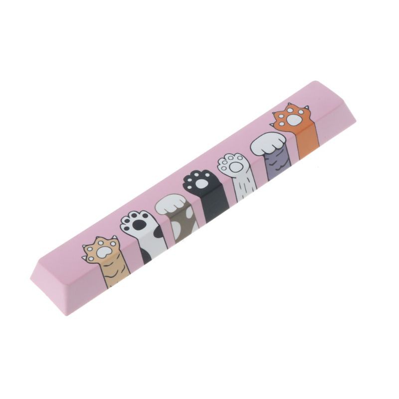 Nút Spacebar Pbt Năm Mặt Nhuộm Màu 6.25u Cho Bàn Phím Cơ Diy