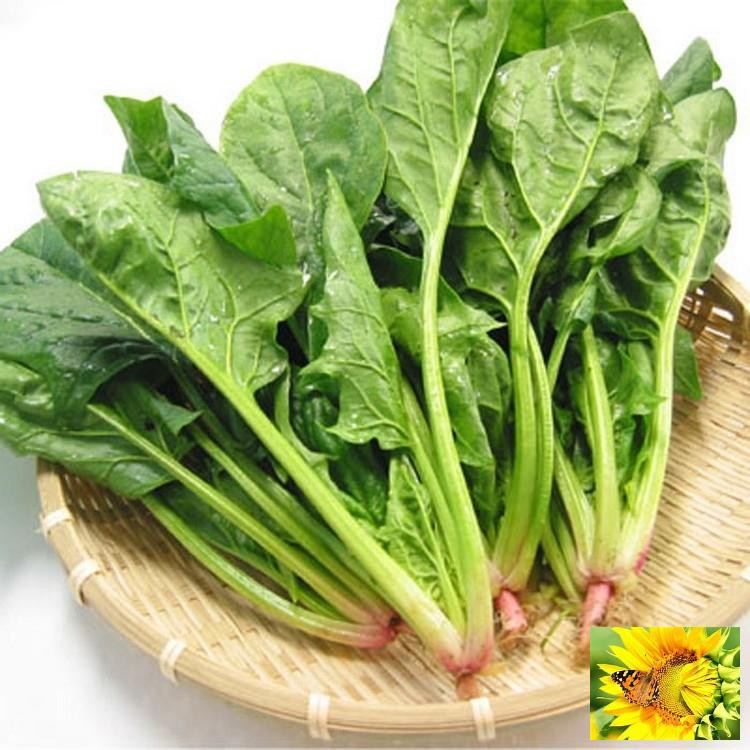 Hạt giống Cải Bó xôi 10g