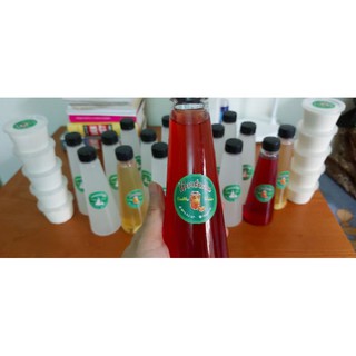 Nấm trà kombucha.