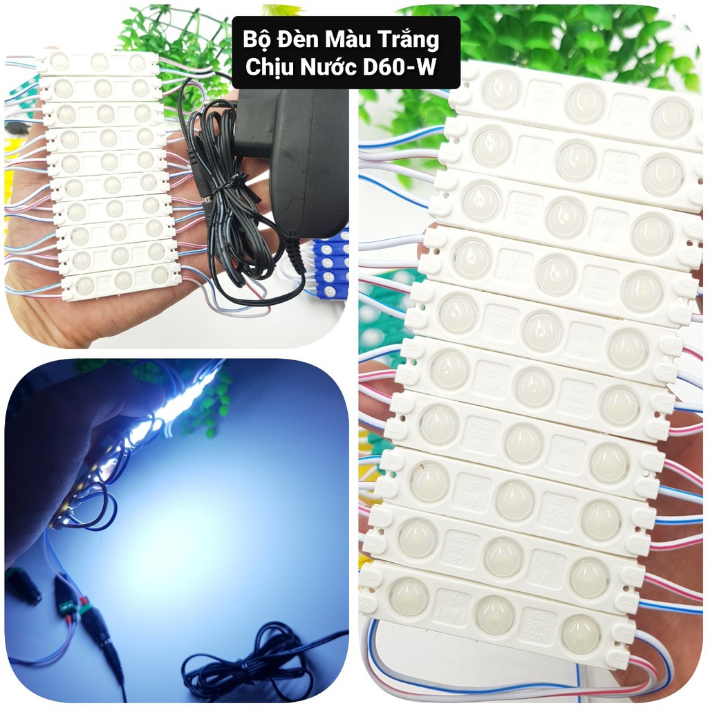 Bộ Đèn Led Chịu Nước 12V Thủy Sinh ❤️Đèn Led Bể Cá❤️Đèn Báo Sự Cố ❤️Led Trang Trí Nhà Cửa Siêu Bền | BigBuy360 - bigbuy360.vn