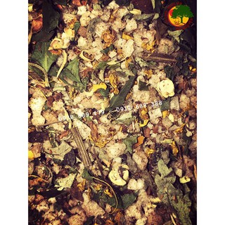 MUỐI THẢO DƯỢC QUẤN BỤNG