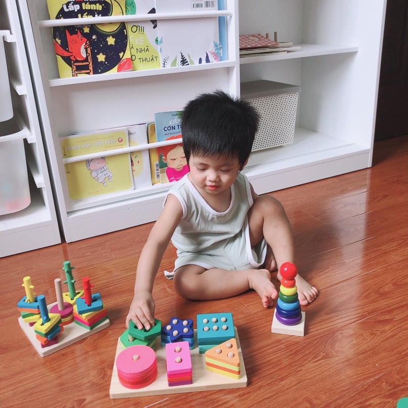 Đồ chơi gỗ thông minh cho bé phát triển tư duy và kĩ năng TOYS DCG001