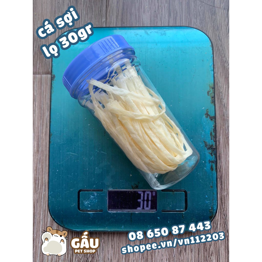 Cá sợi hamster