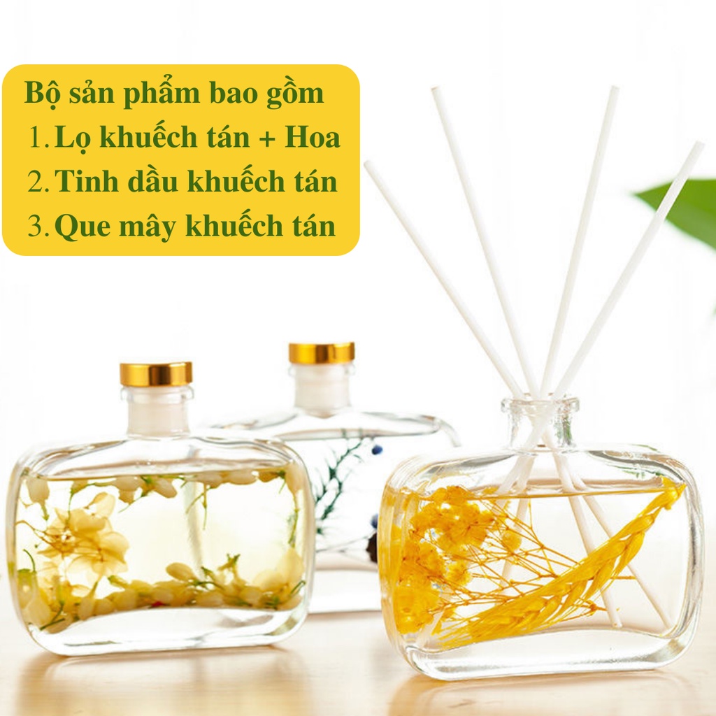 Lọ Khuếch Tán Tinh Dầu Nước Hoa WIACHNN 100ML Để Phòng Thơm Phòng Ngủ Tán Hương Thiên Nhiên KT02