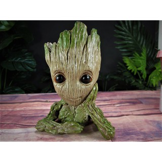 chậu groot