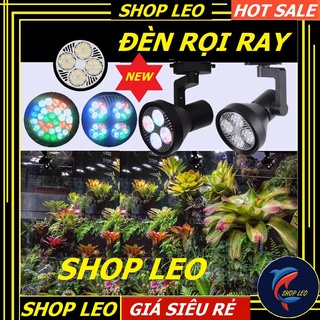 Đèn rọi ray cho hồ bán cạn - bể thủy sinh - phụ kiện cá cảnh - shopleo