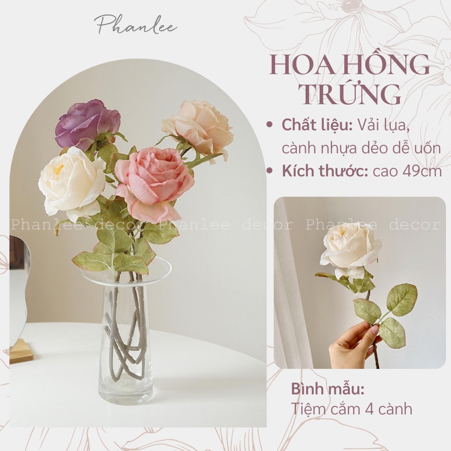 Hoa hồng trứng - Hoa lụa cao cấp, trang trí nhà cửa, decor nội thất Phanlee