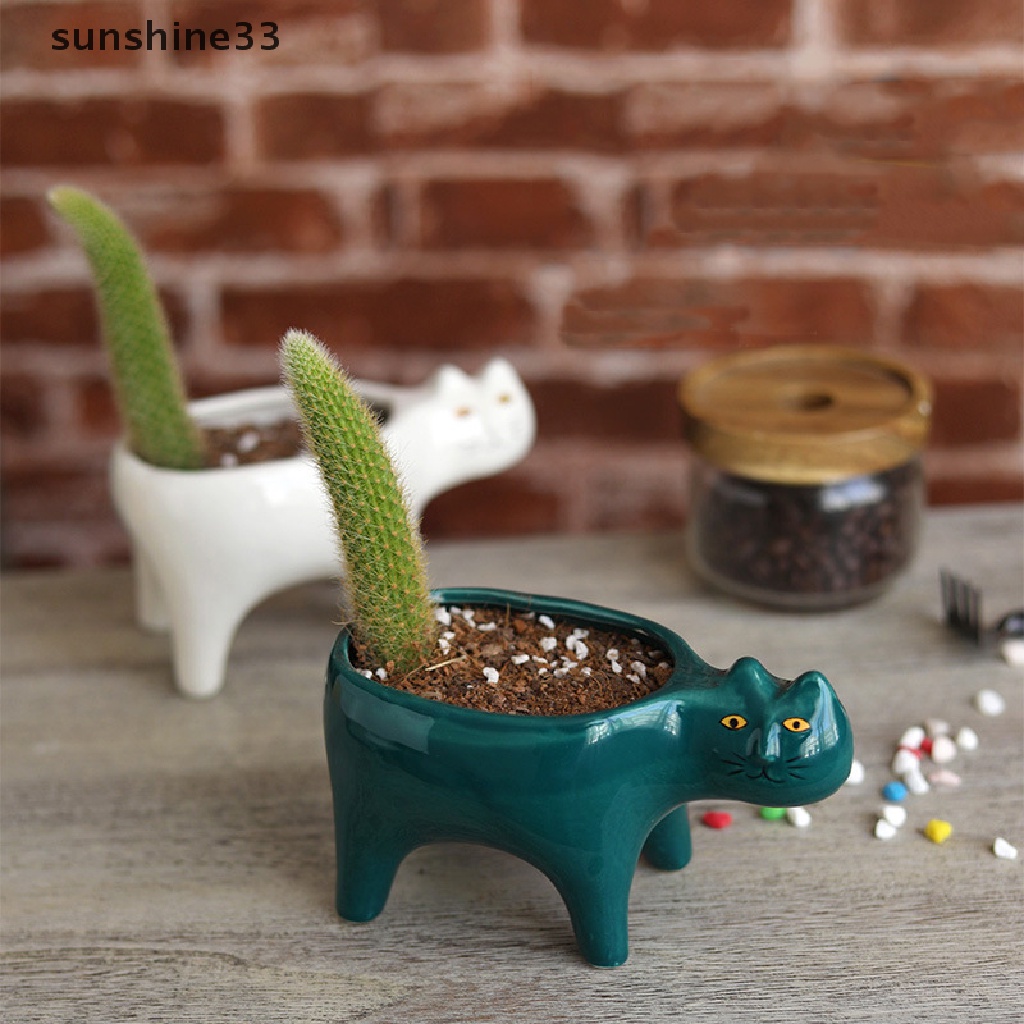 Chậu Gốm Trồng Cây Mọng Nước Hình Mèo / Xương Rồng Dễ Thương