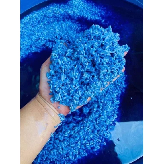 [HOT] Xôi ngũ sắc Điện Biên 1kg | BigBuy360 - bigbuy360.vn