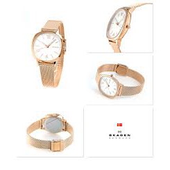 [GIÁ HỦY DIỆT - Chính Hãng - Free ship - Không ưng hoàn tiền] Đồng hồ nam/ nữ Unisex Skagen Skw2629 dây thép lưới 3 kim