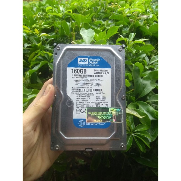 Ổ Cứng HDD hàng tháo máy, zin chạy tốt Good - Có Sẵn HĐH theo yêu cầu