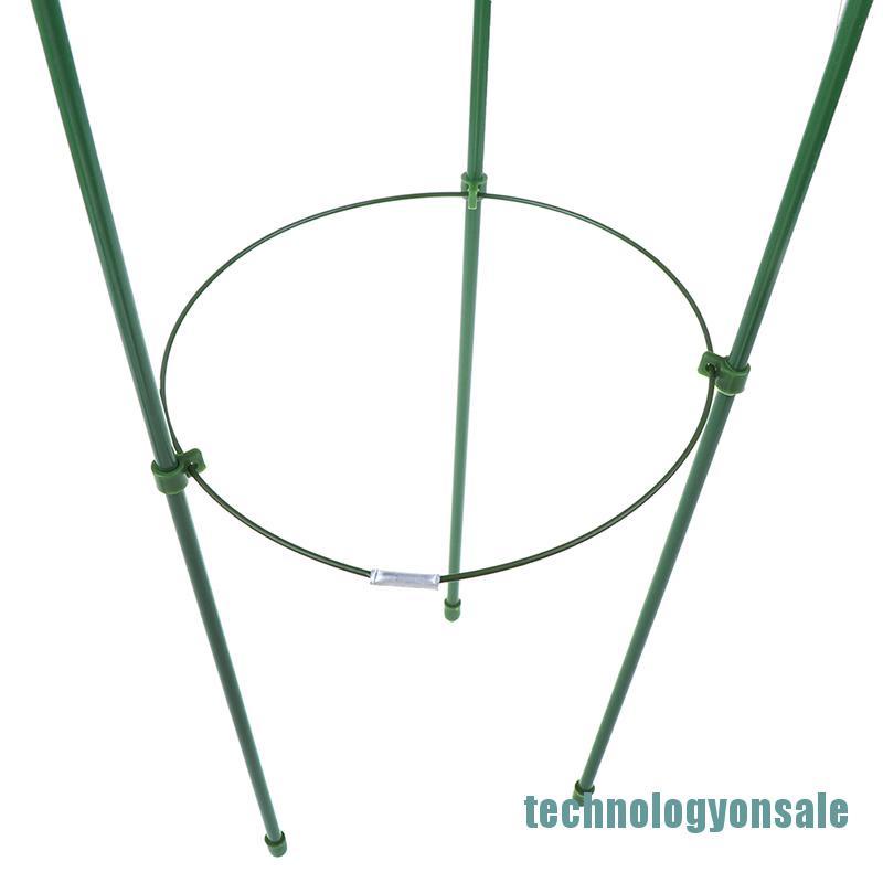 Khung Hỗ Trợ Trồng Cây Leo Dài 60cm