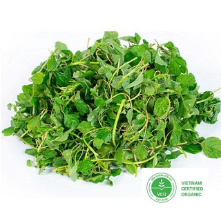 10g Hạt giống Rau dền cơm THUTHUY