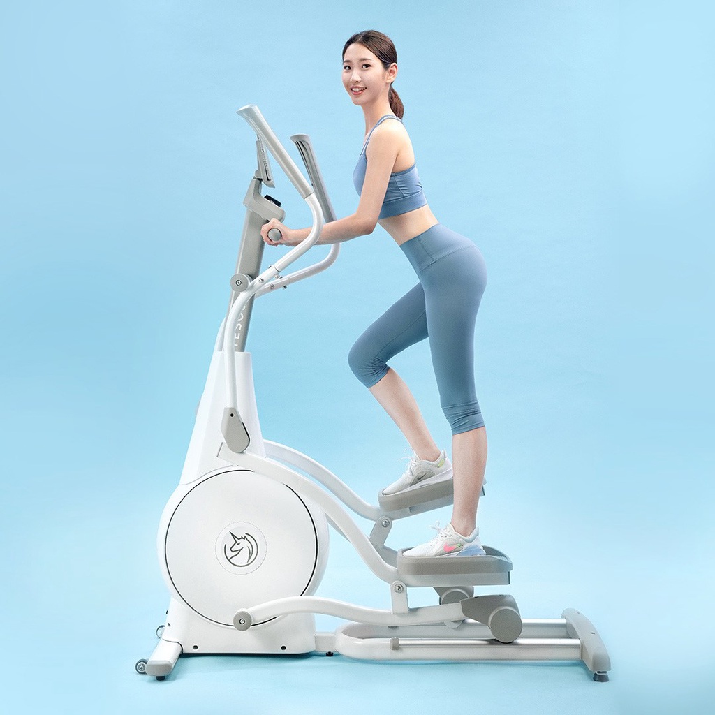 Xe Đạp Thể Dục Toàn Thân Yesoul E30S