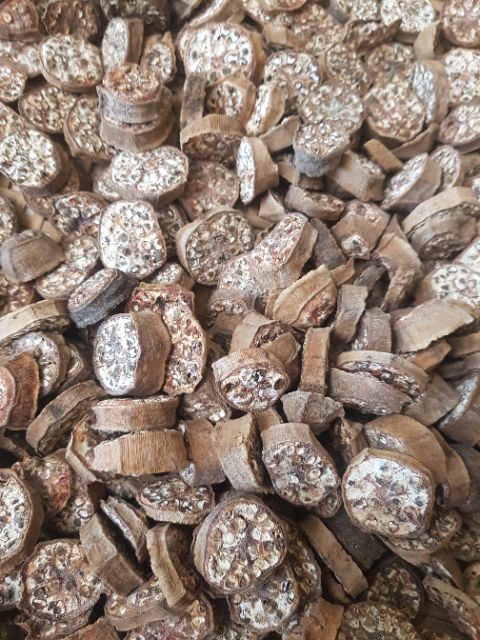 Hột Chuối ngâm rượu 1kg | BigBuy360 - bigbuy360.vn