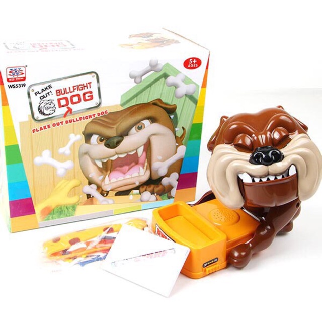 Combo 4 con chó gặm xương