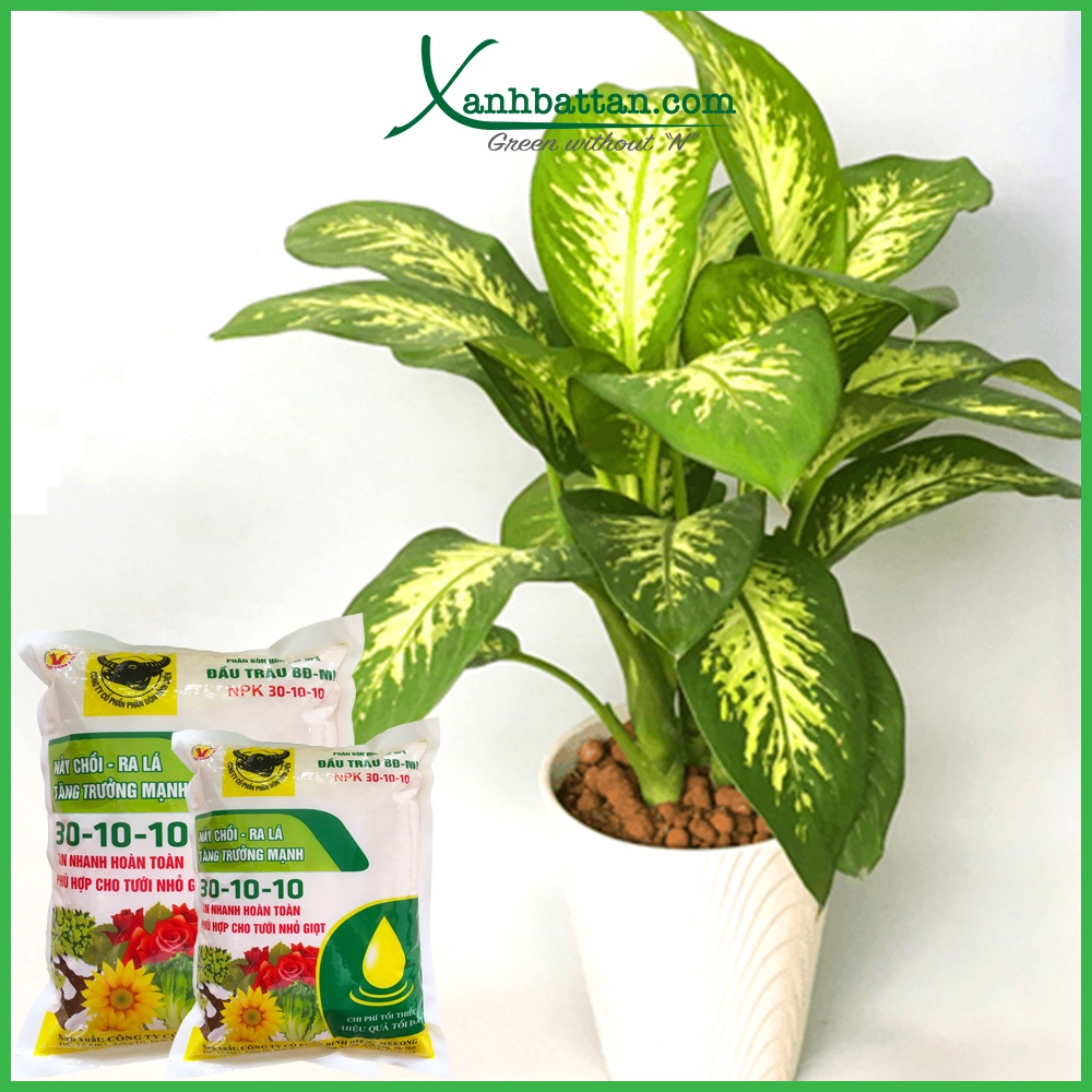 Phân Bón Đầu Trâu NPK 30-10-10 Kích Chồi, Ra Lá 1 Kg