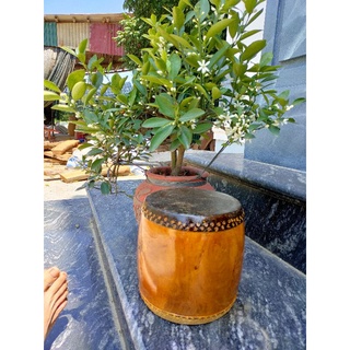 Trống cúng, hát văn, trống đế mặt 16,18, 20 cm