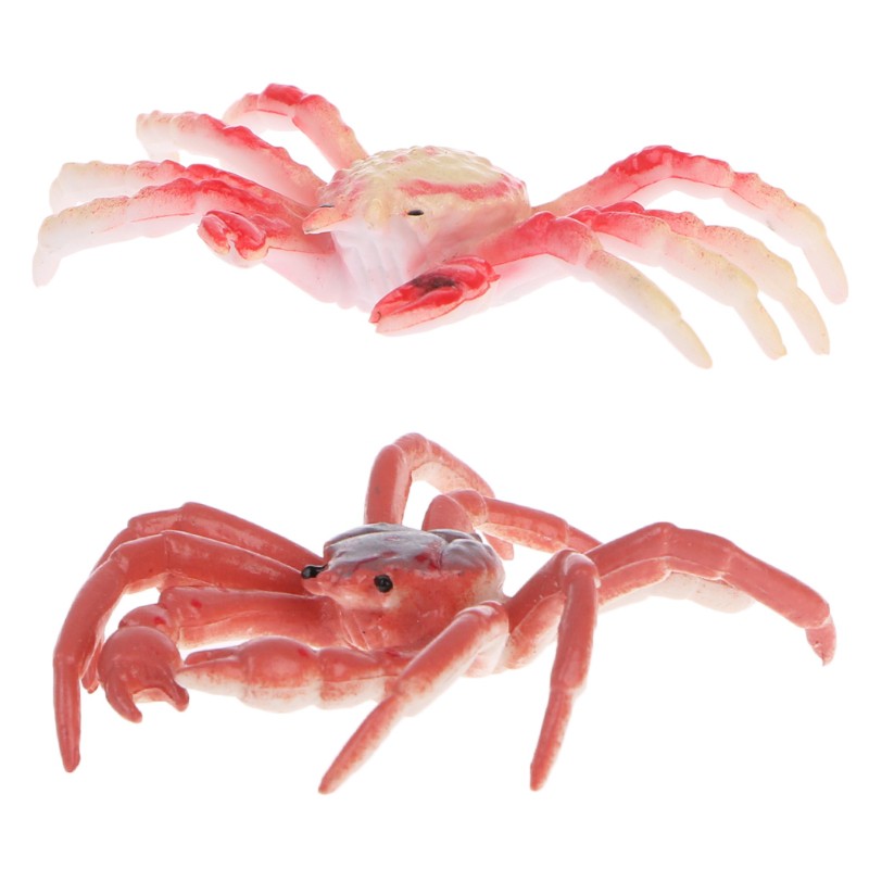 Đồ Chơi Mô Hình Con Cua Cho Trẻ Em