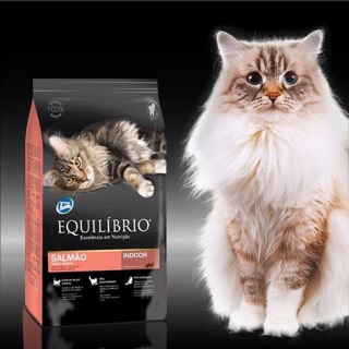 Equilibrio salmon | thức ăn hạt cho mèo trưởng thành vị cá hồi - bao 1,5kg