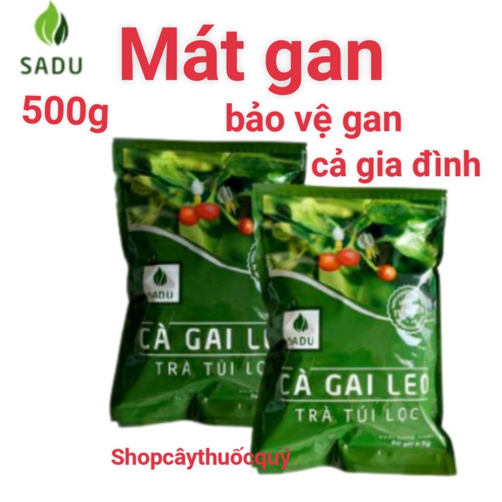 Trà túi lọc cà gai leo Sadu 2 bịch (100 túi lọc) mát gan thải độc gan
